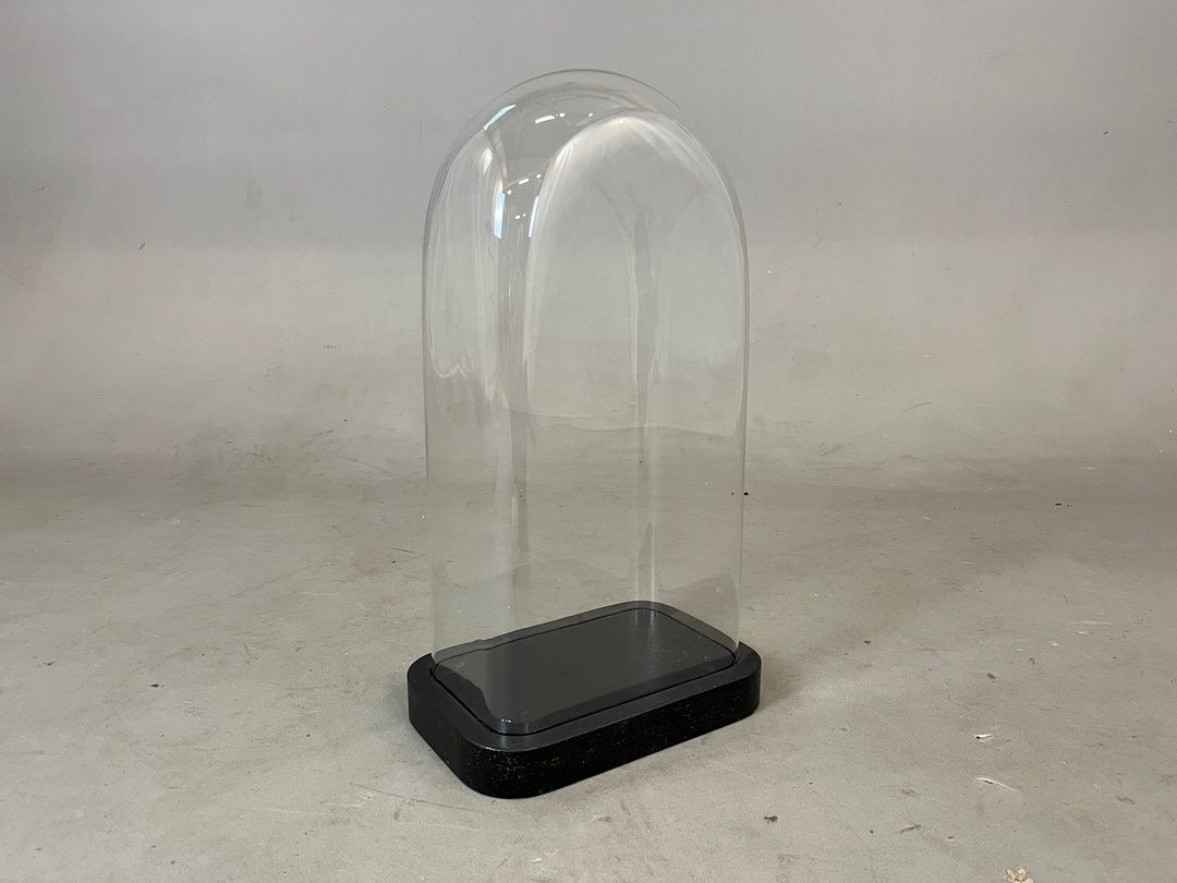 Foto Wide Glass Cloche Bell Jar Showcase h56