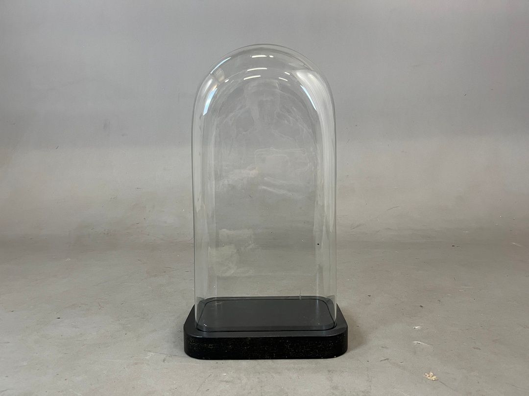 Foto Wide Glass Cloche Bell Jar Showcase h56