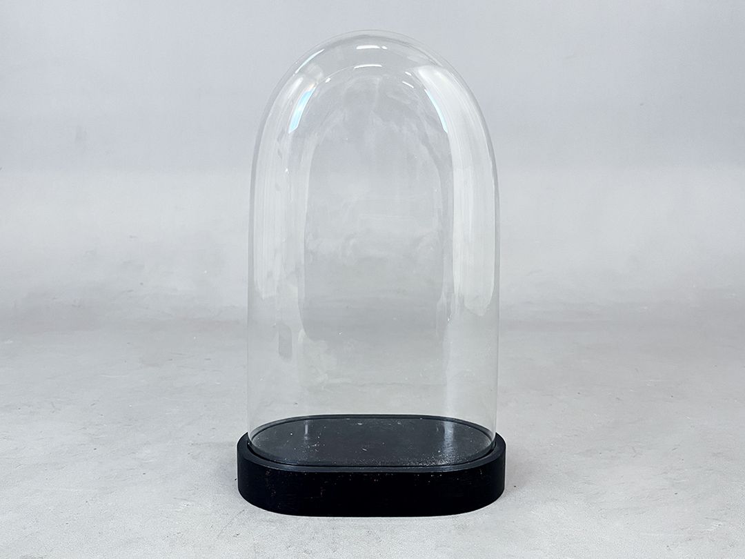 Foto Beautiful Glass Cloche Bell Jar Showcase h45 //