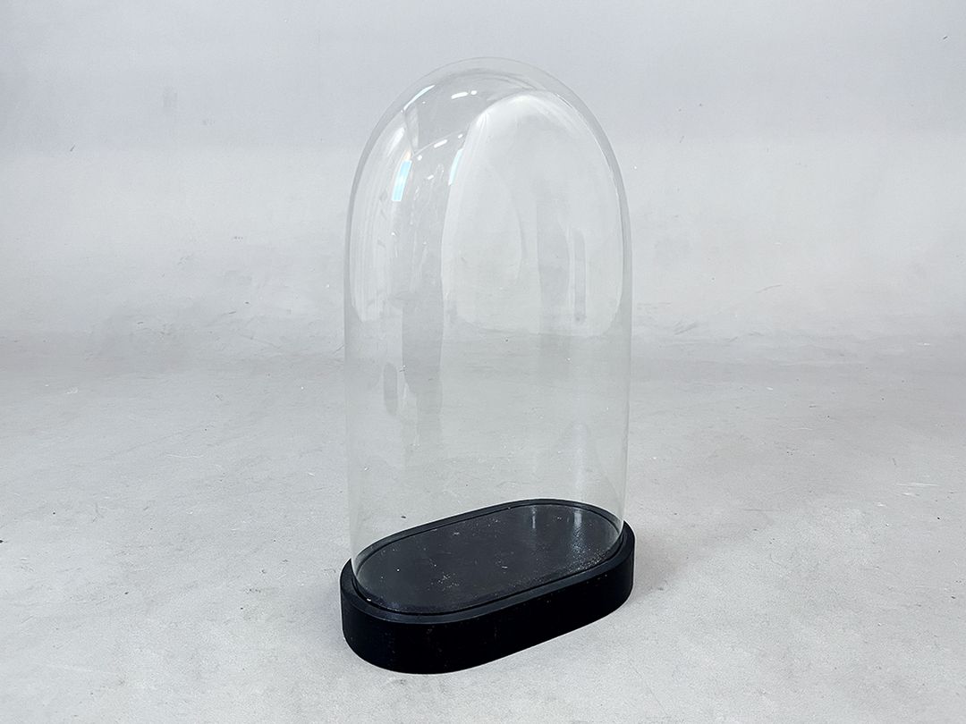 Foto Beautiful Glass Cloche Bell Jar Showcase h45 //