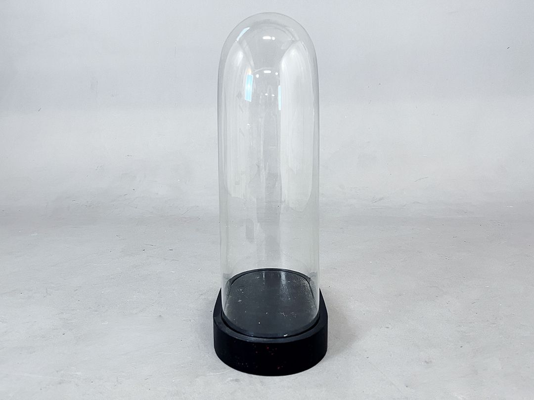 Foto Beautiful Glass Cloche Bell Jar Showcase h45 //