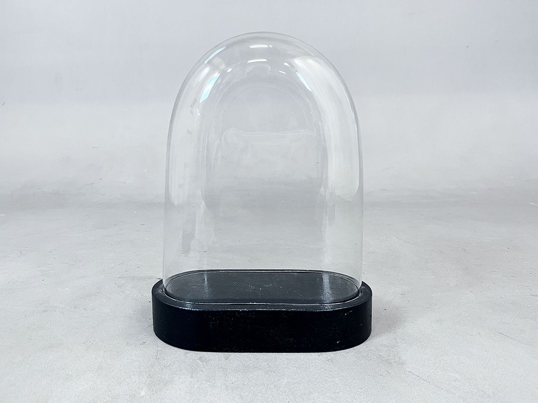 Foto Small Glass Cloche Bell Jar Showcase h32