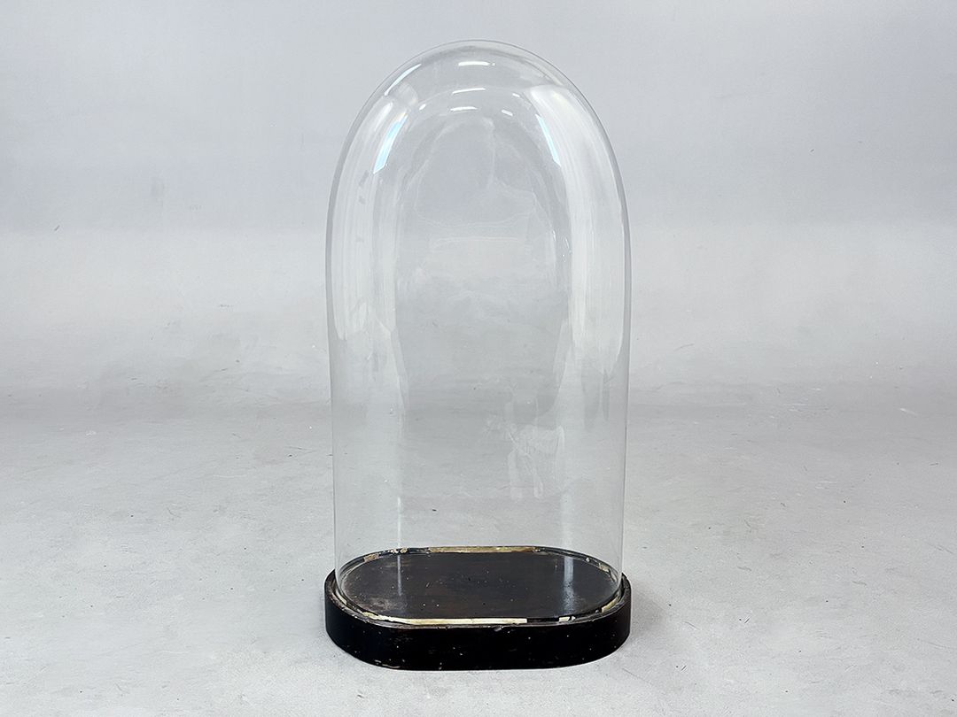 Foto High Glass Cloche Bell Jar Showcase h50