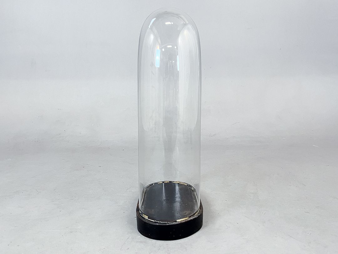 Foto High Glass Cloche Bell Jar Showcase h50