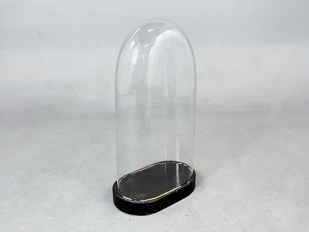 Foto High Glass Cloche Bell Jar Showcase h50