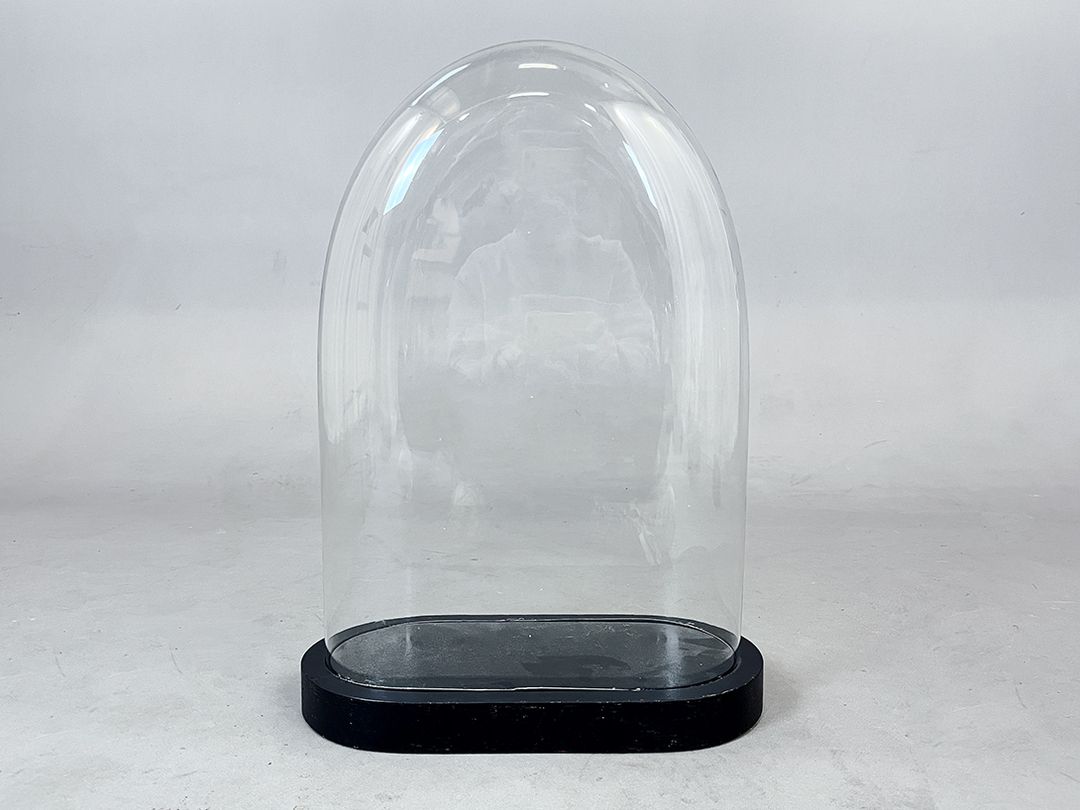 Foto Wide Glass Cloche Bell Jar Showcase h60