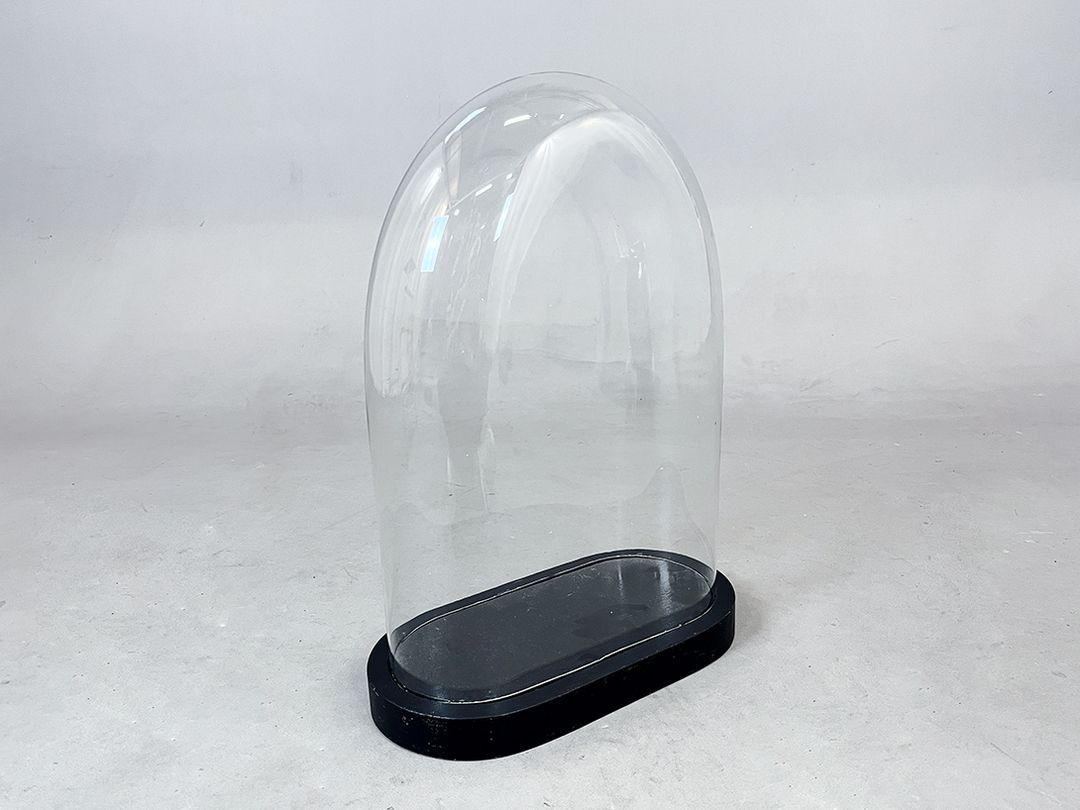 Foto Wide Glass Cloche Bell Jar Showcase h60