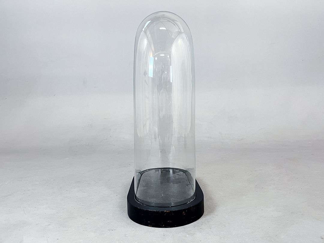 Foto Wide Glass Cloche Bell Jar Showcase h60