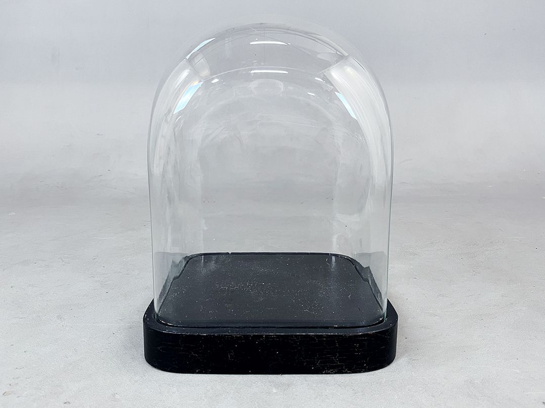 Foto Glass Cloche Bell Jar Showcase on Square Pedestal h35