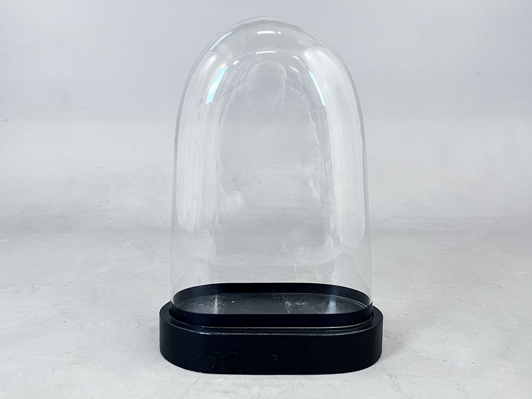 Foto Smaller Glass Cloche Bell Jar Showcase h36