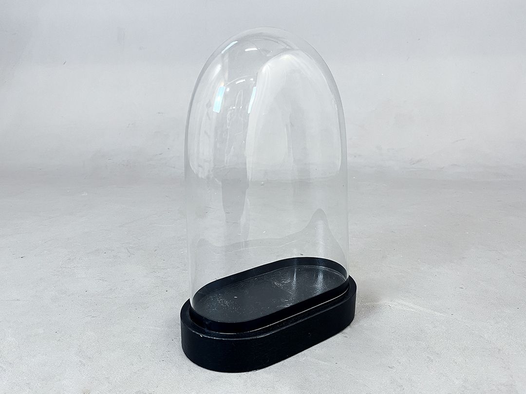 Foto Smaller Glass Cloche Bell Jar Showcase h36