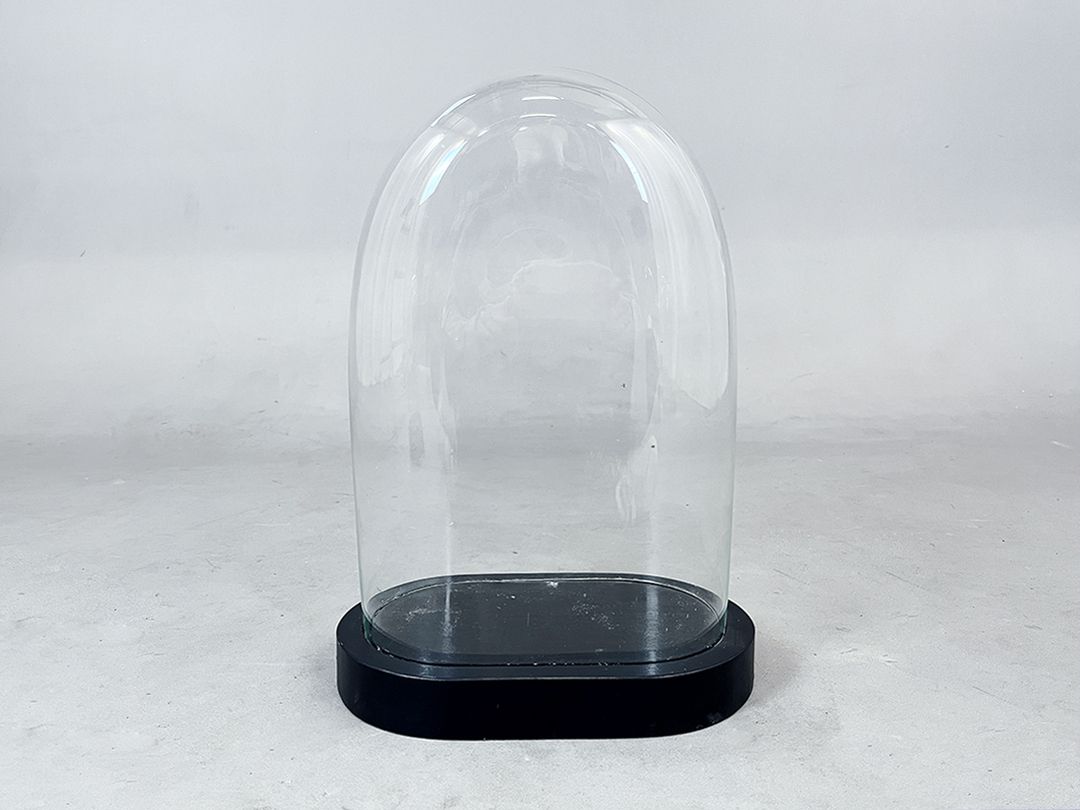 Foto High Glass Cloche Bell Jar Showcase h45