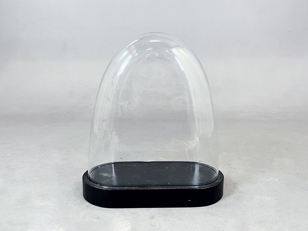Foto Unusual Glass Cloche Bell Jar Showcase h30