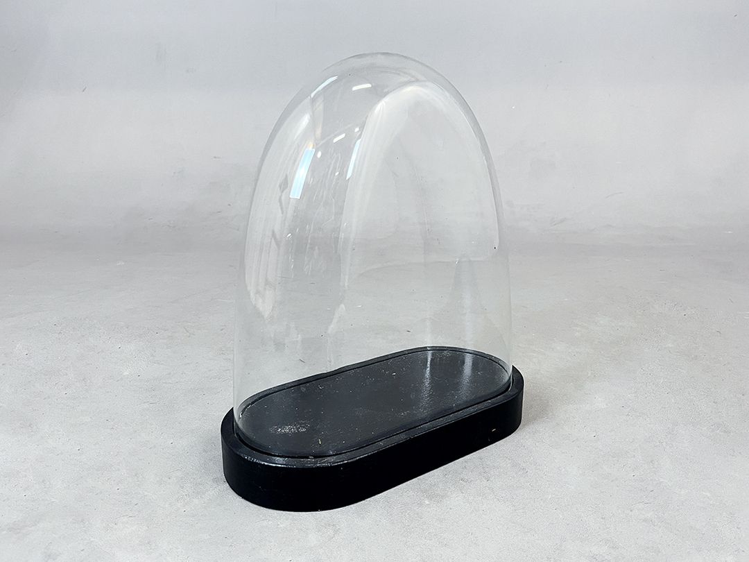 Foto Unusual Glass Cloche Bell Jar Showcase h30