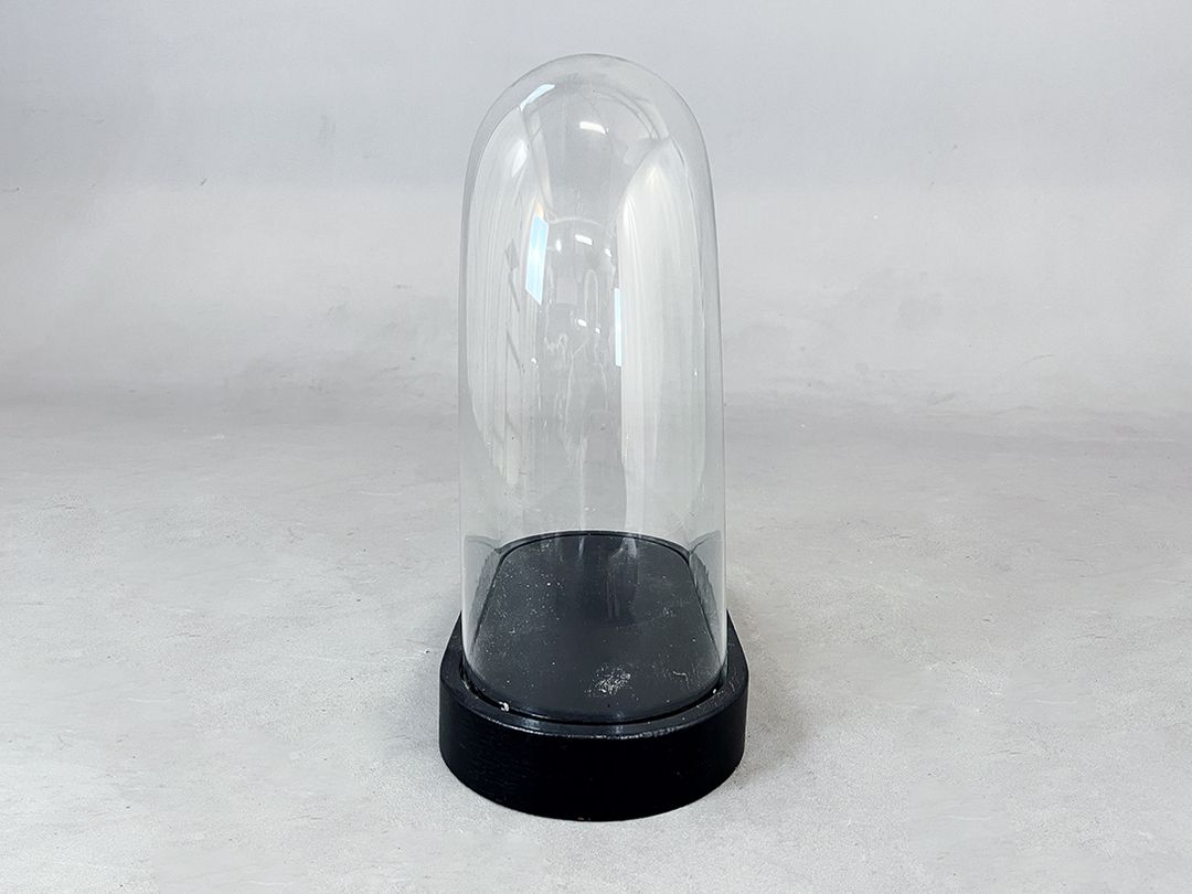 Foto Unusual Glass Cloche Bell Jar Showcase h30