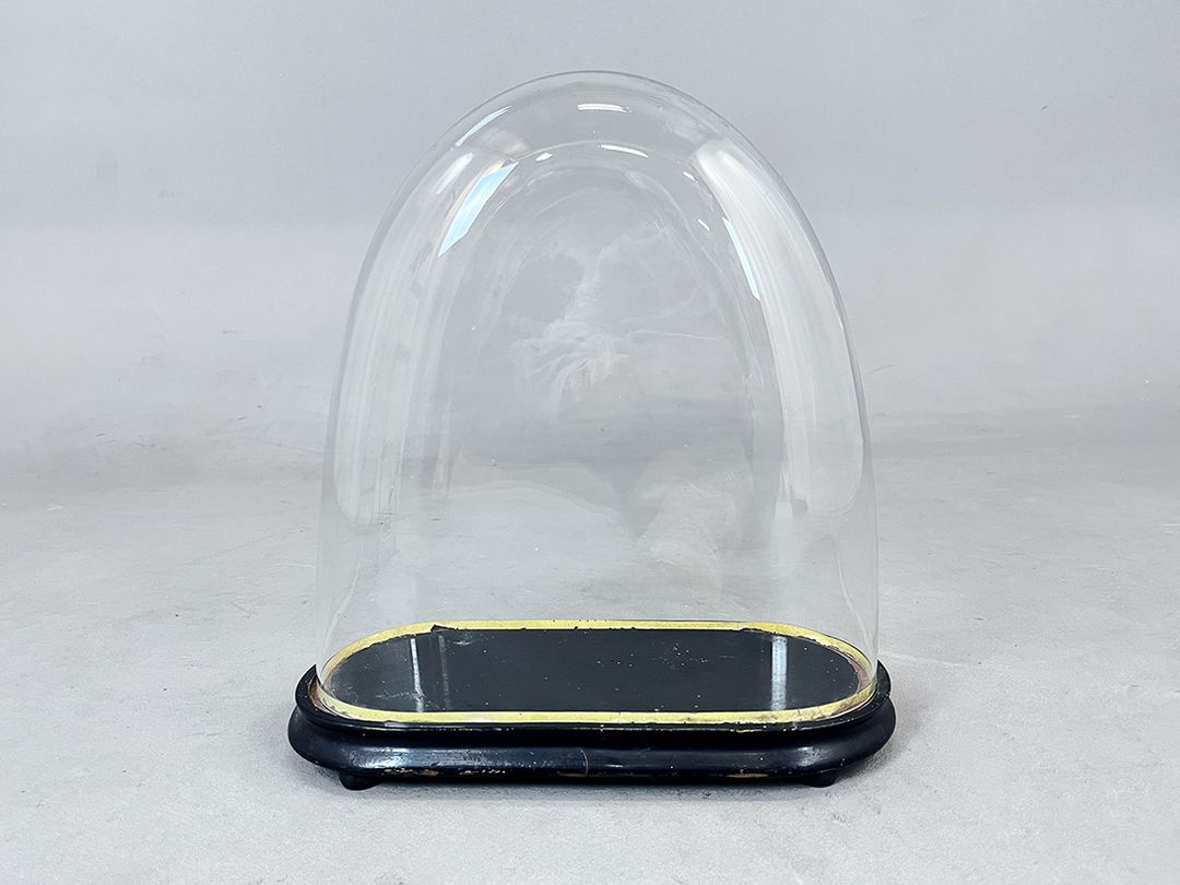 Foto Wide Glass Cloche Bell Jar Showcase with Small Gold Rim h38