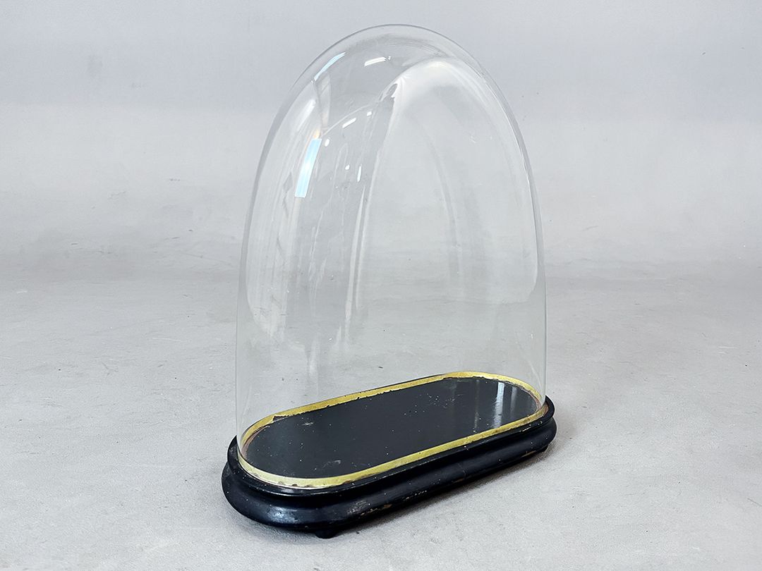 Foto Wide Glass Cloche Bell Jar Showcase with Small Gold Rim h38