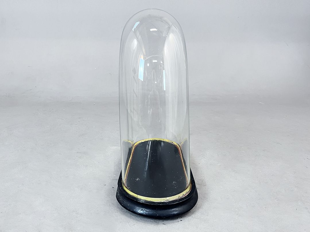 Foto Wide Glass Cloche Bell Jar Showcase with Small Gold Rim h38