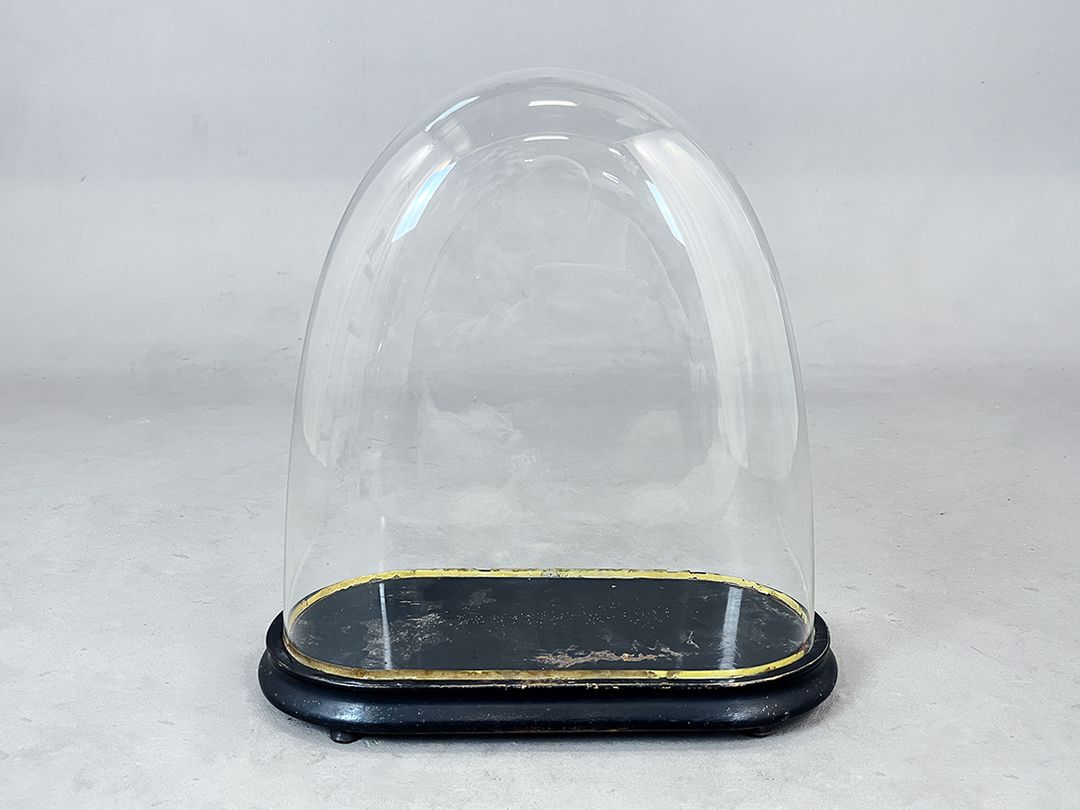Foto Glass Cloche Bell Jar Showcase with Gold Rim on Small Feet h40