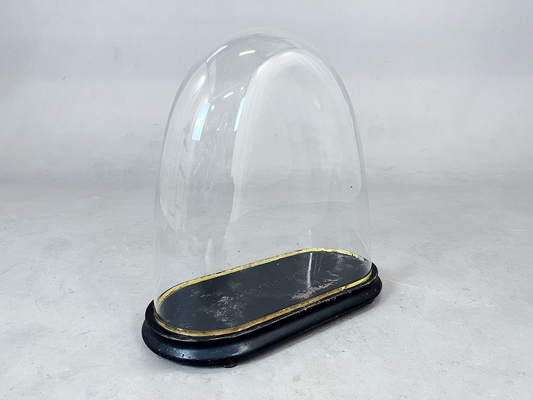 Foto Glass Cloche Bell Jar Showcase with Gold Rim on Small Feet h40