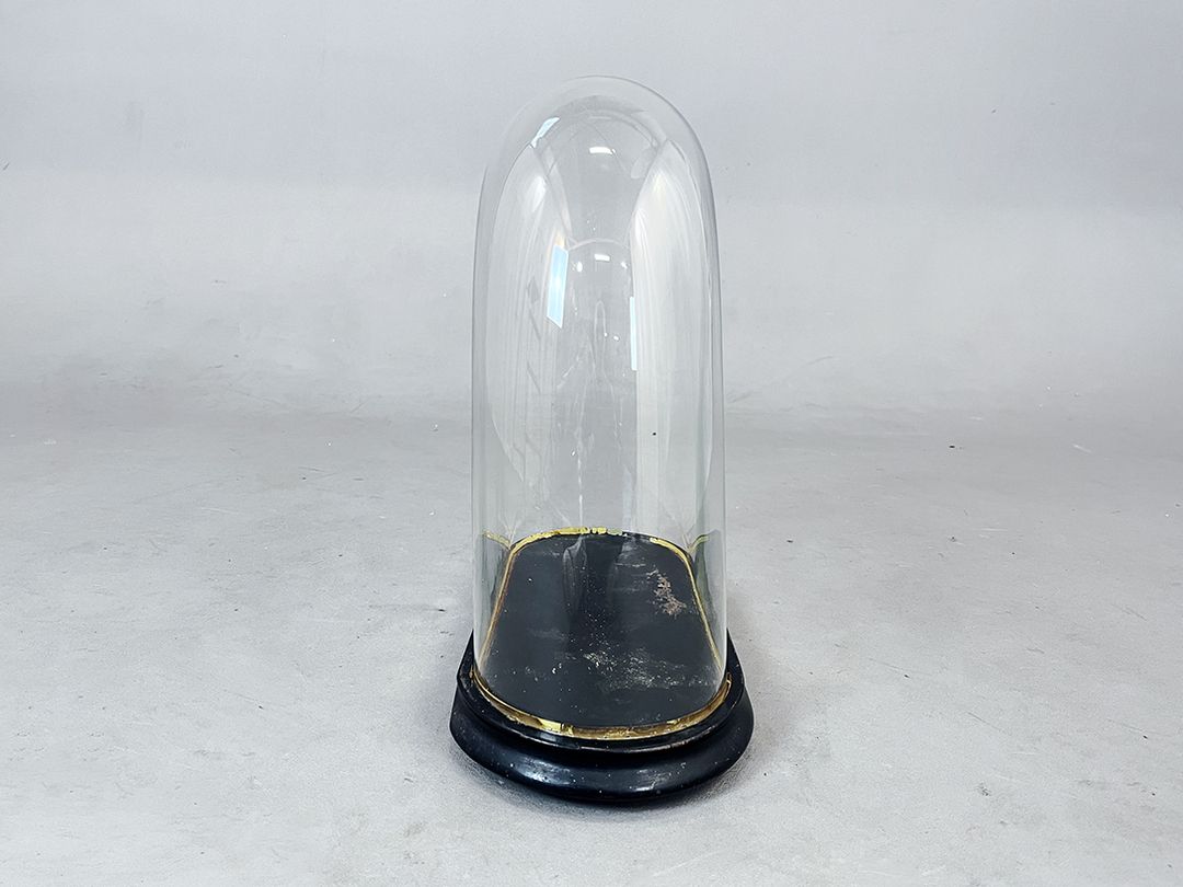 Foto Glass Cloche Bell Jar Showcase with Gold Rim on Small Feet h40
