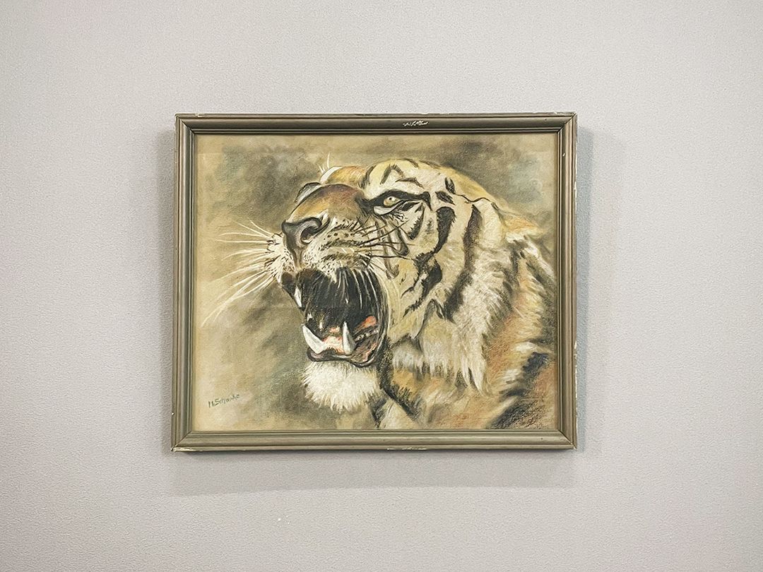 Foto Roaring Tiger Sketch h26x32 24B33