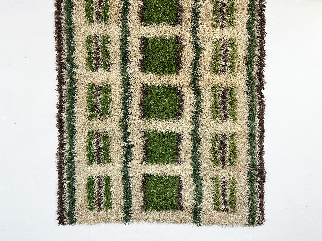 Foto Beige and Green Cozy Modern Shaggy Carpet 188&#215;130 0310