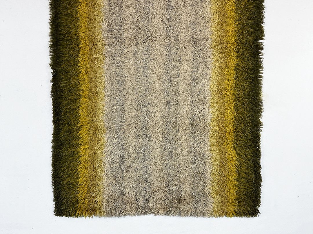 Foto Green Mustard and Grey Cozy Modern Shaggy Carpet h204x133 0297