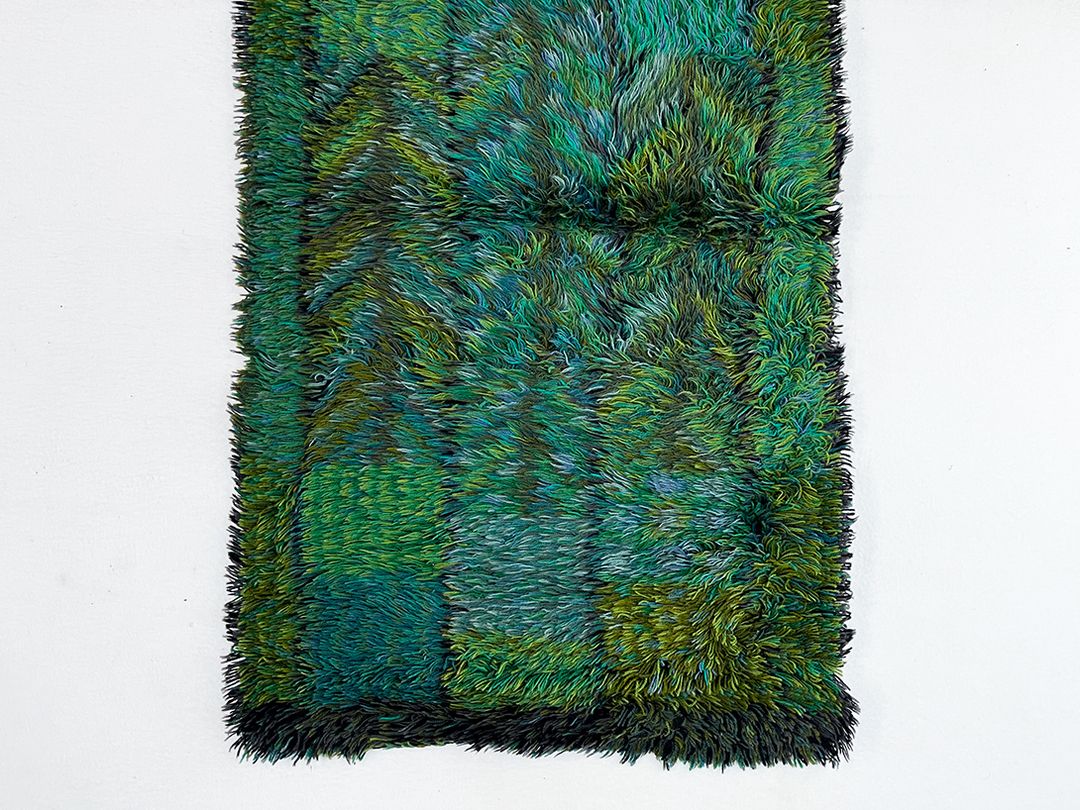 Foto Green and Turquoise Cozy Modern Shaggy Carpet h120x75 0272