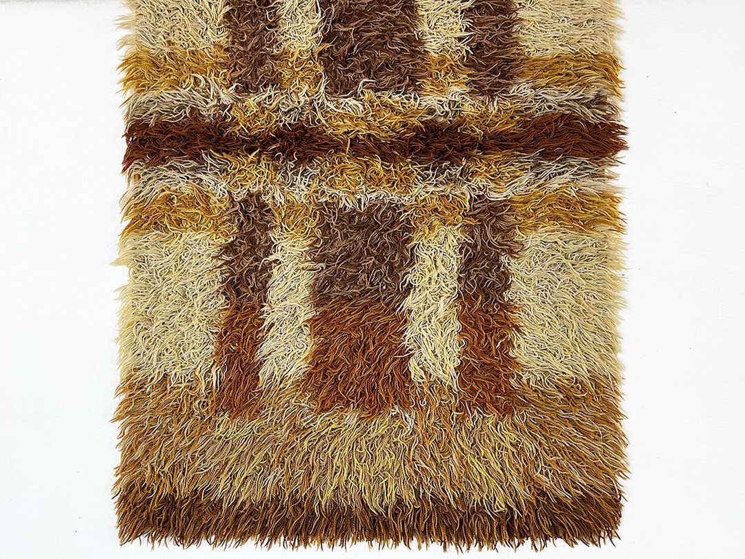 Foto Modern Cozy Orange and Brown Shaggy Carpet h130x85 0288