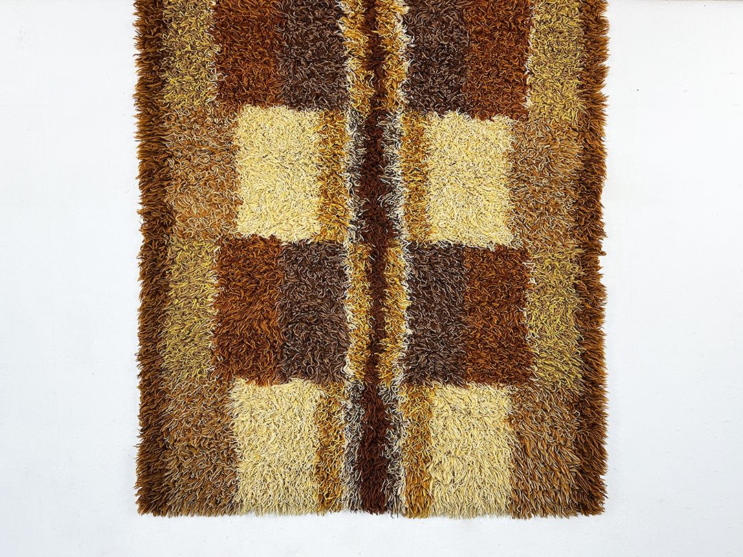 Foto Ochre Beige and Brown Cozy Modern Shaggy Carpet h236x160 0311