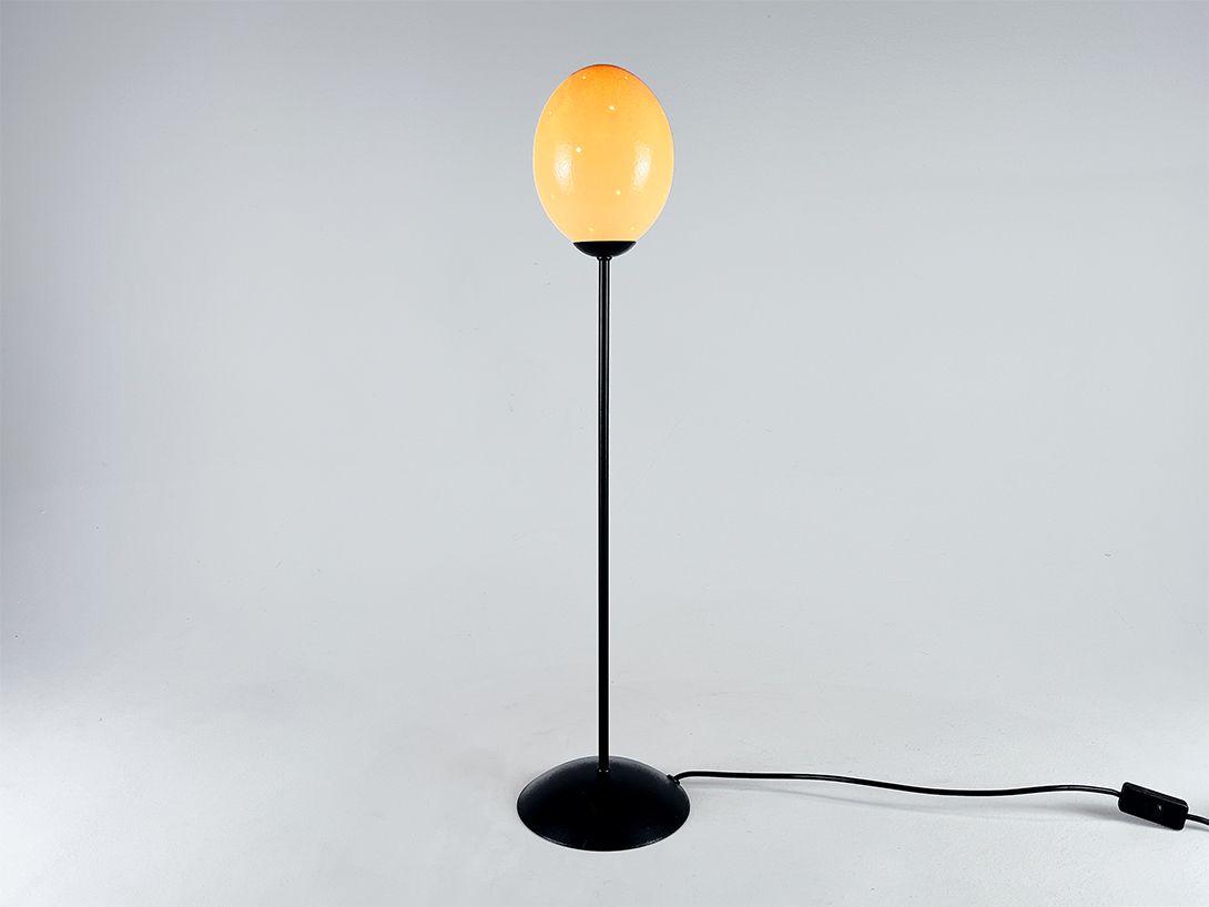 Foto Simple Ostrich Egg Table Lamp h72