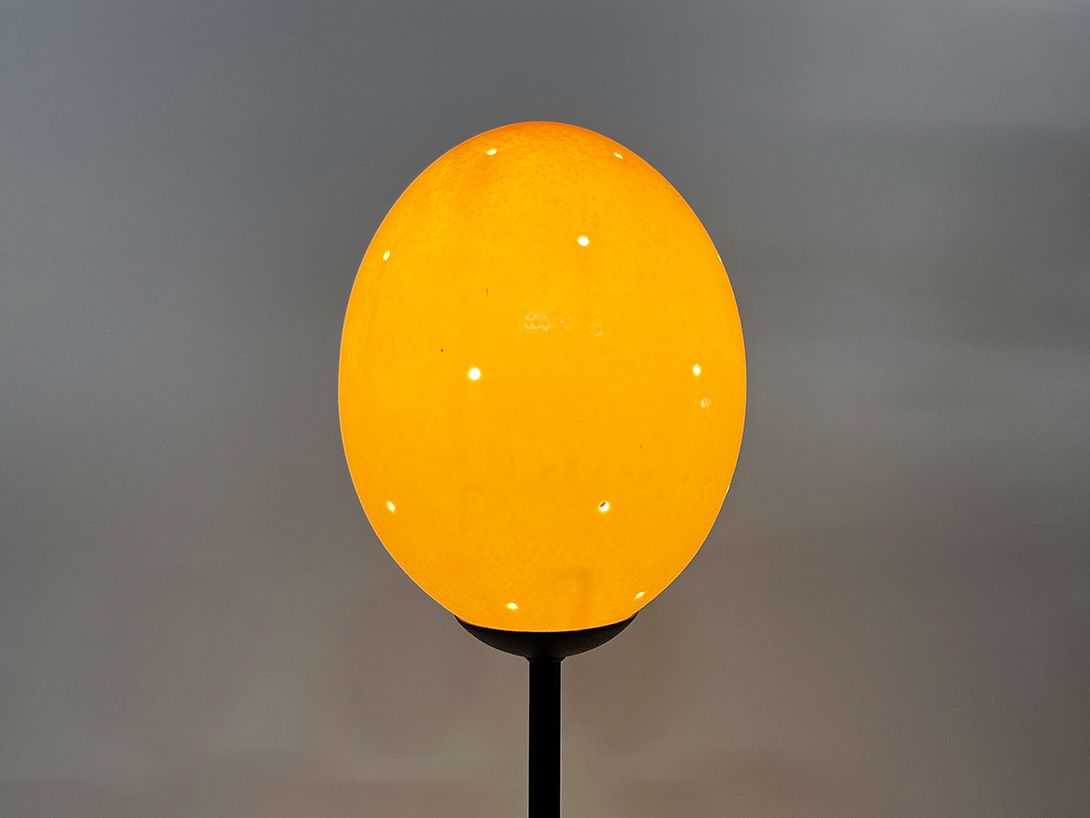 Foto Simple Ostrich Egg Table Lamp h72
