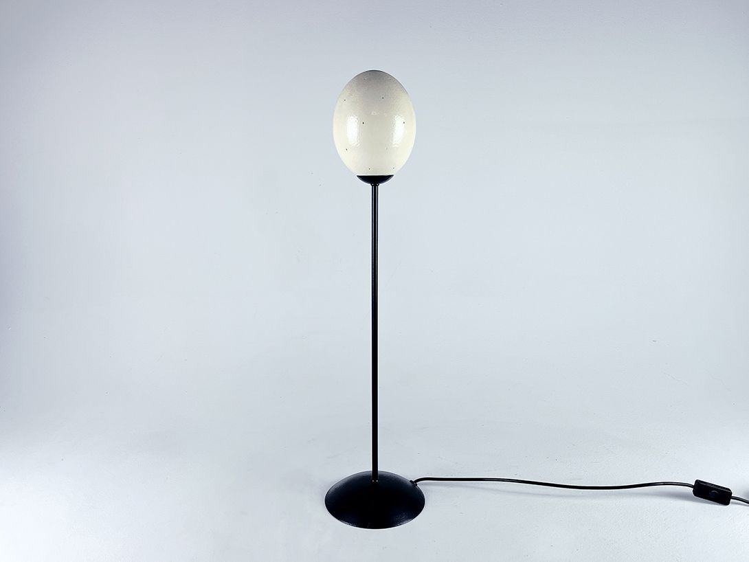 Foto Simple Ostrich Egg Table Lamp h72