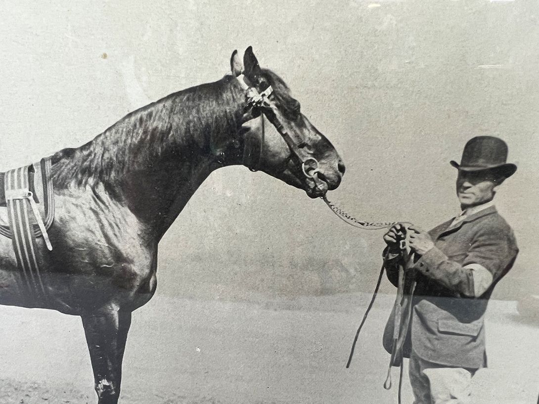 Foto Photography of horse Ugod *1885 Racewinner in Berlin 1890 h29
