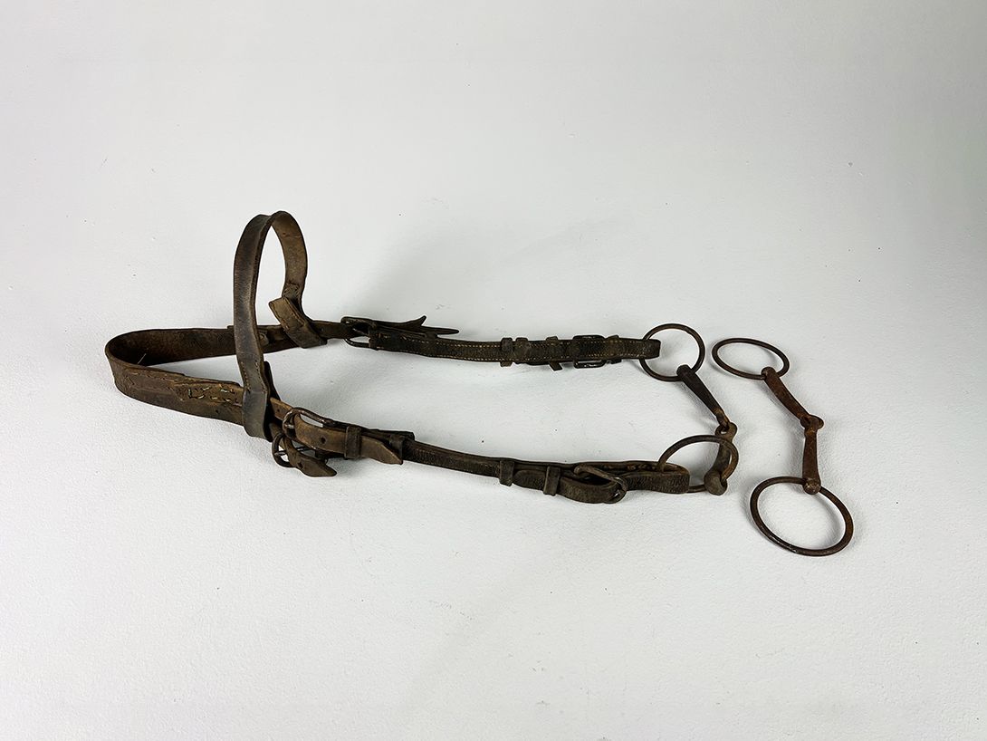 Foto Historic Horse Bridle 1890
