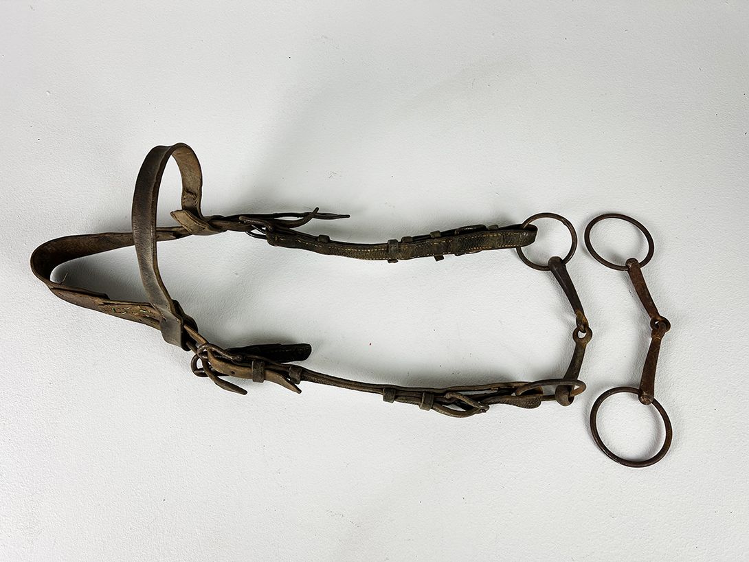 Foto Historic Horse Bridle 1890