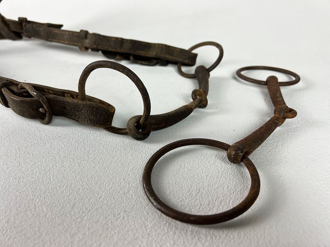 Foto Historic Horse Bridle 1890