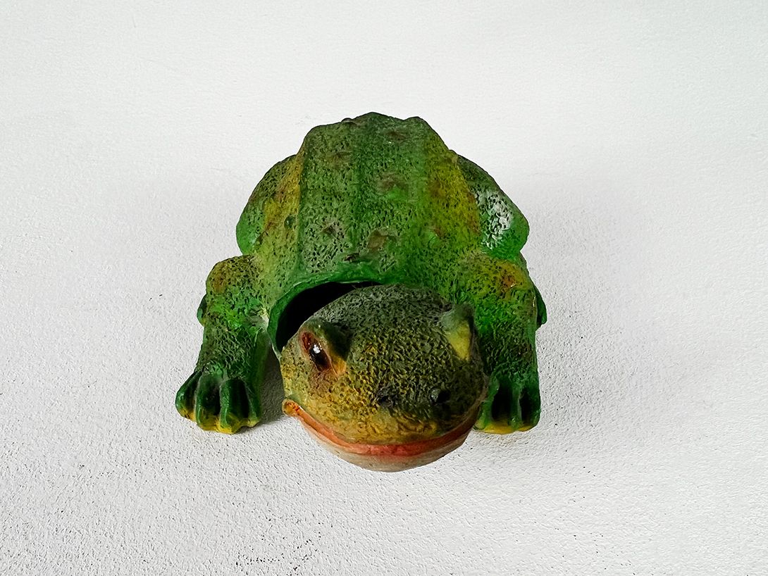 Foto Bobblehead Frog Brazil 1975 h7