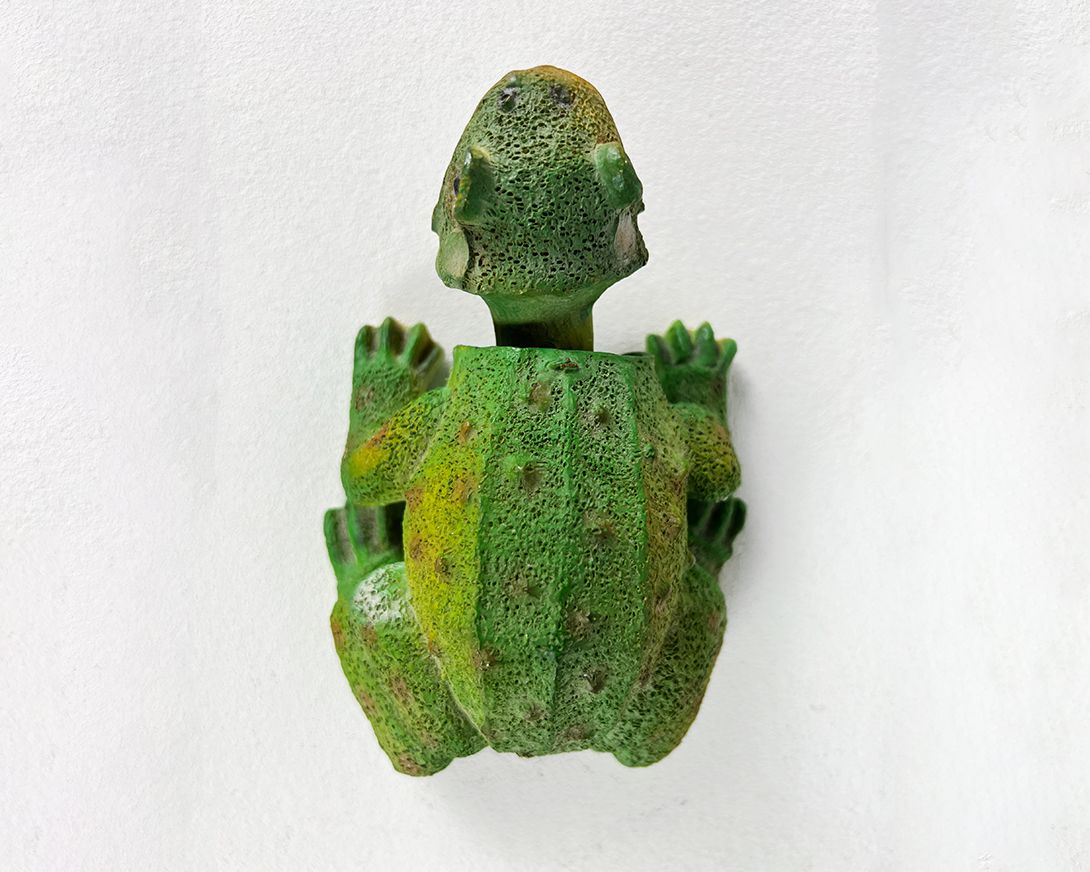 Foto Bobblehead Frog Brazil 1975 h7
