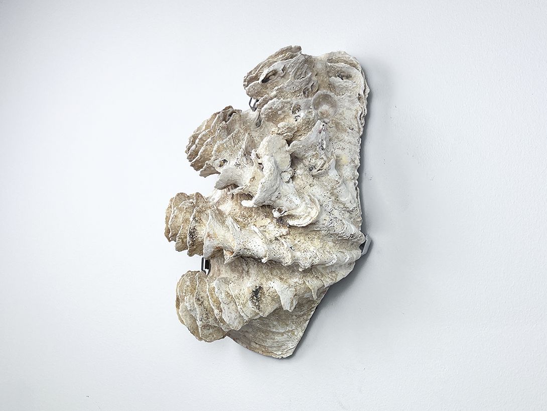 Foto Precious Decorative Big Shell Wall Ornament h26