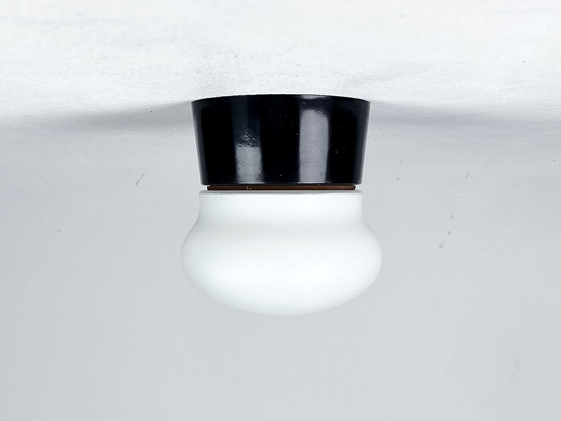 Foto Frosted Glass Ceiling Lamp for Bathroom or Outside ø13