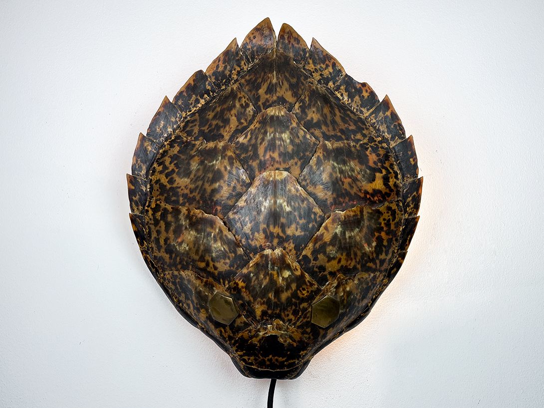 Foto Large Turtle Shell Dummy Wall Lamp h44