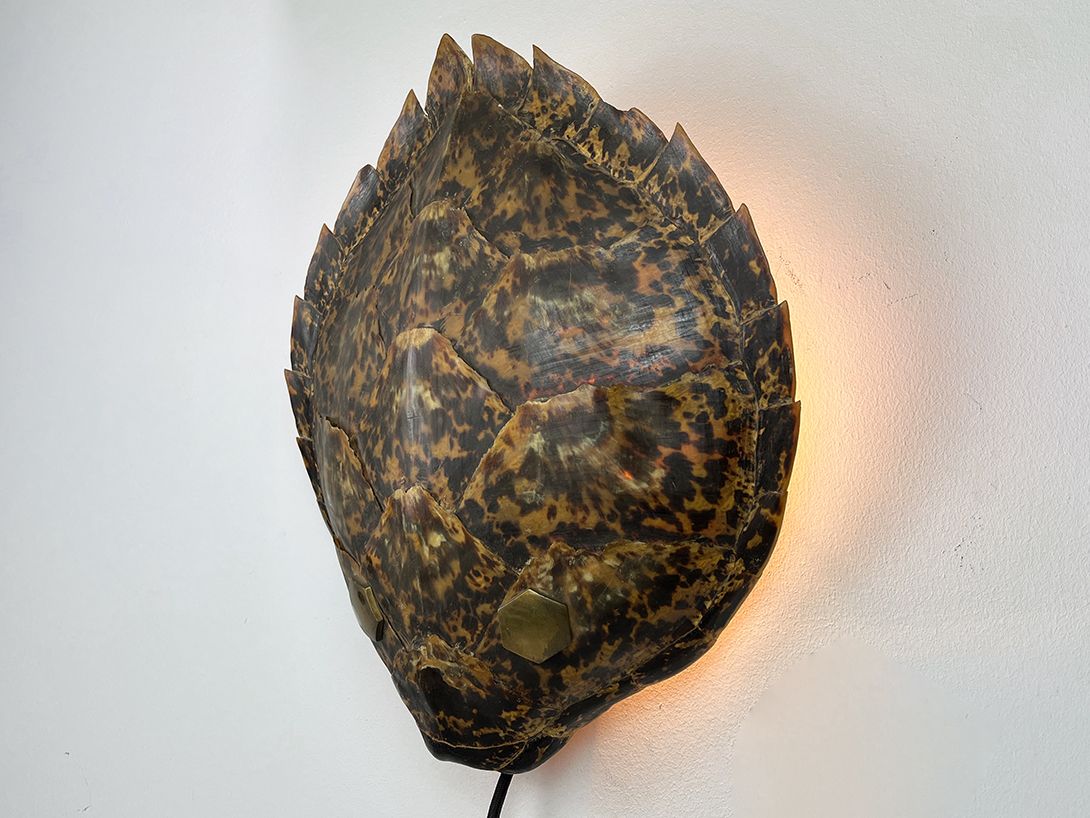 Foto Large Turtle Shell Dummy Wall Lamp h44