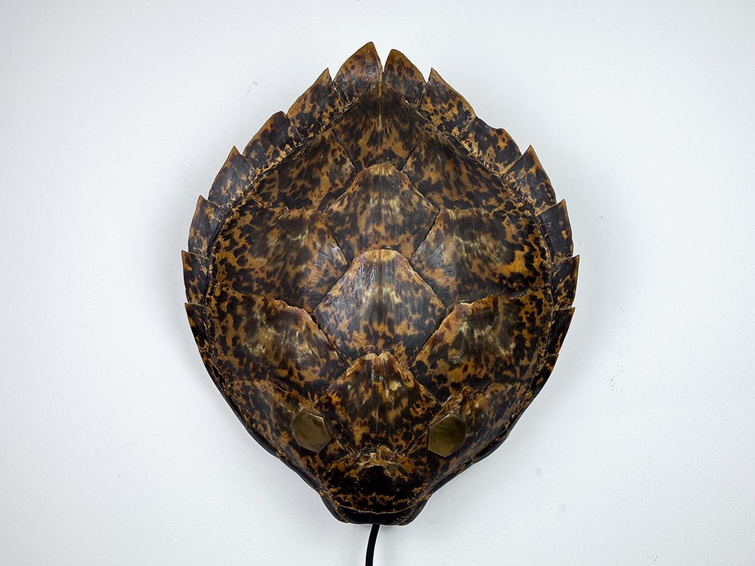 Foto Large Turtle Shell Dummy Wall Lamp h44